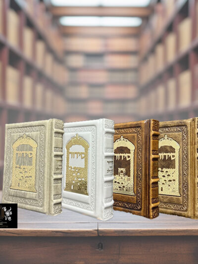 אומנות בעור- משה נידם